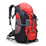 Deuter 50